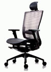 Ортопедическое кресло DuoFlex BR-200M