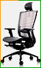 Офисное эргономичное кресло DuoFlex