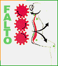 ������� FALTO