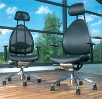 Body-Balance Delux ������������ ���������� ������ ������ ����