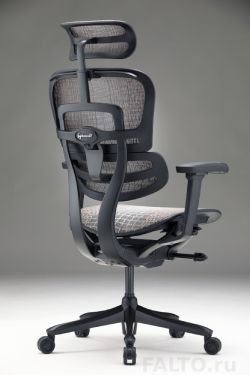 Сетчатое дизайнерское кресло Ergohuman Everest
