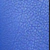 Champion - цвет blue lancer