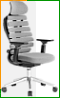 Эргономичное кресло Falto orto Ergo (цвет: серый)