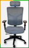 Эргономичное компьютерное кресло Star Euro (серое)