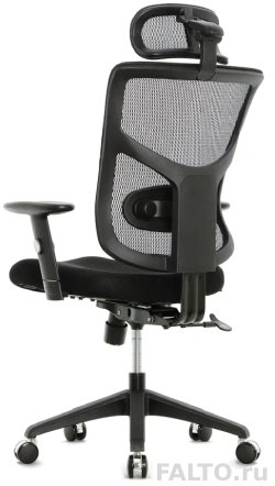 Компьютерное кресло с поясничным валиком Star Office Ergo