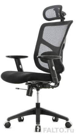 Эргономичное кресло с поясничным валиком Expert Star Office Ergo