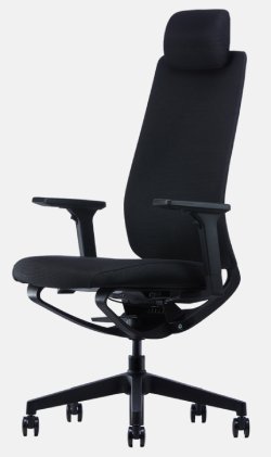 Офисное ортопедическое кресло Falto A5