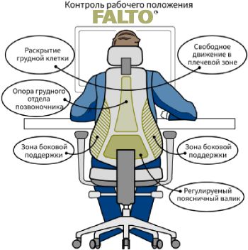 Эргономичное кресло FALTO-FIRST с грушевидной спинкой